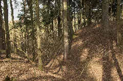 Burgstall Fürstenau