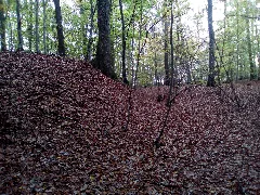 Burgstall Motte Orenhofen 1