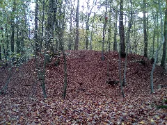 Burgstall Motte Orenhofen 2
