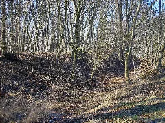 Burgstall Muehlhausen