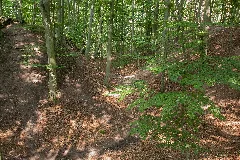 Burgstall Schauerberg03