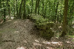 Burgstall Schauerberg05
