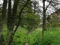 Burkauer Wasser Burkau 2020 04 25