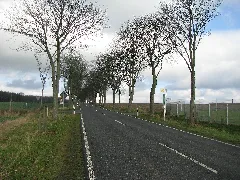 Bushaltestelle Abzweig Winterbüren, 1, Rothwesten, Fuldatal, Landkreis Kassel