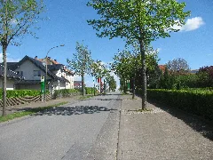 Bushaltestelle Lützer Straße, 1, Peckelsheim, Willebadessen, Kreis Höxter