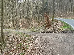 Butterpfad Near Rengsdorf, Germany, View In Eastern Direction