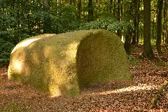 Butterstein Im Steinernen Meer Bei Belm