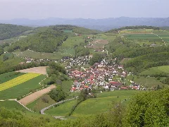 Buus From Farnsburg