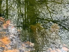 Calau Werchow Goldborn Blick In Den Quelltopf (2)