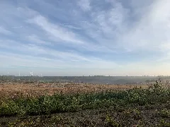 Calau Werchow Plieskendorf Blick In Ehemalige Tongrube