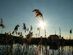 Calm Panoramio