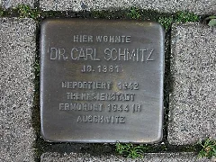 Carl Schmitz