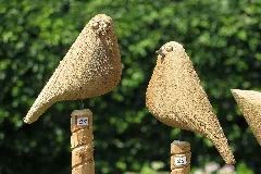 Carved Birds