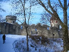 Castle Of Honberg Panoramio Eduardo Manchon (4)