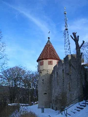 Castle Of Honberg Panoramio Eduardo Manchon (5)