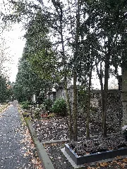 Cemetery Apolda 2