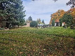 Cemetery Petriroda 1