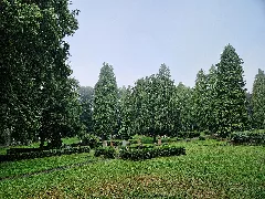 Cemetery Schleusingen 02