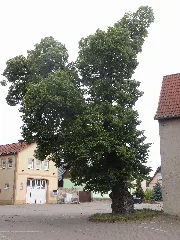Center Bottendorf