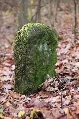 Centstein Flür Lindig