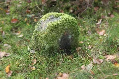 Centstein Östl Stöckholz