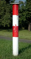Ceps Untergruppenbach 20070818