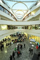 Cfel Desy Hamburg