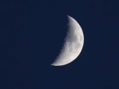 Cheesy42 Man In The Moon (By)