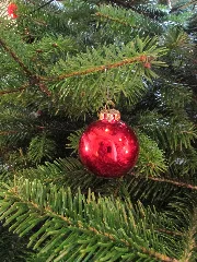 Christbaumkugel Panoramio (2)