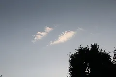 Cirrocumulus Stratiformis Undulatus Lacunosus Ii