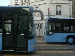 Citaro K Distribus À Bâle