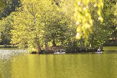 Clausensee Insel