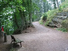 Climbing Up To Trifels Panoramio