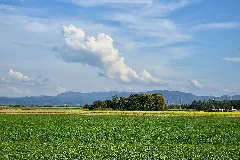 Clouds Above The Black Forest