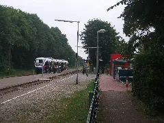 Clp 20110614 Bf Rhade Bstg