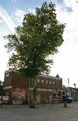 Clp 20140814 2459 Hp Essen Borbeck Stw Ebo