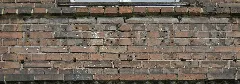 Clp 20150706 4940 Bf Letschin Eg Detail
