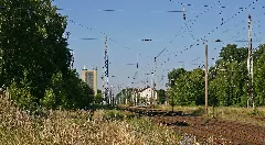 Clp 20180629 5743 Bf Biesenthal