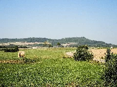 Colline De Sion Vaudémont, Vue De La Plaine Est