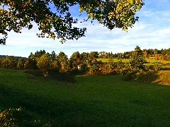 Colours In Autumn Panoramio