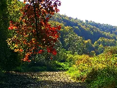Colours Panoramio (7)