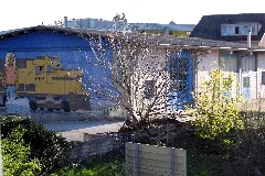 Cosey Img 4829