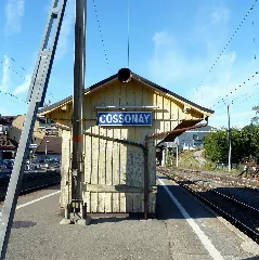 Cossonay Panoramio