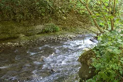 Cours D'eau Gottéron