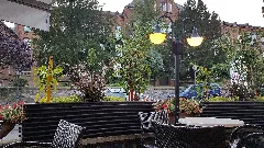Cozy Afternoon