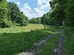 Cr84 Wahnerheide01