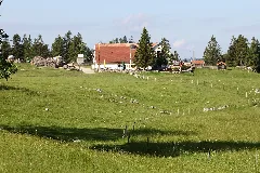 Creux Du Van. Ferme Du Soliat Img 43399