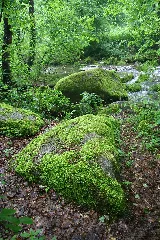 Crinitzer Wasser 06