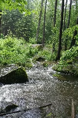 Crinitzer Wasser 07