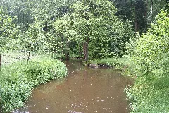 Crinitzer Wasser 08